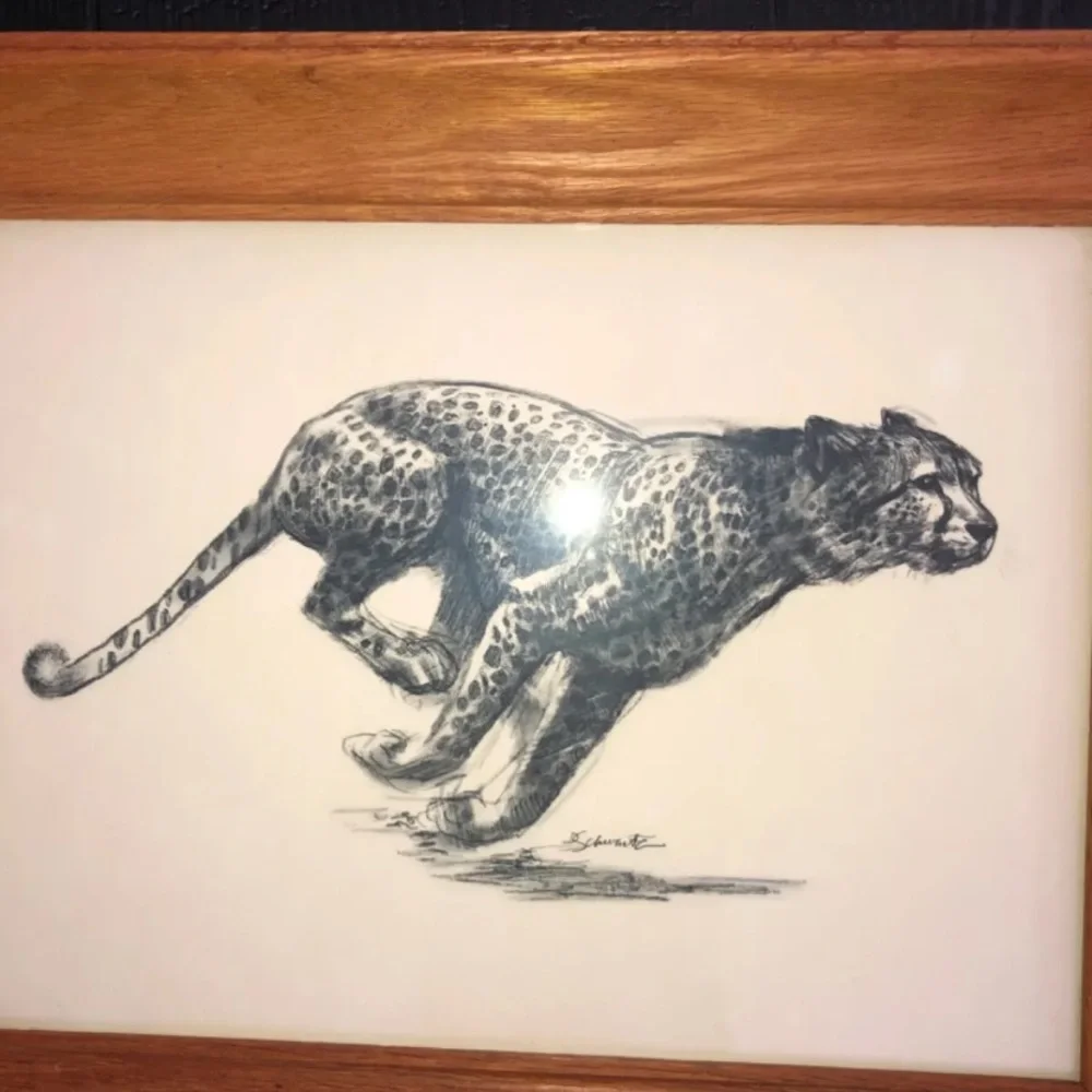 Vintage Art Etchings Drawing Cheetah Framed D.‎  Schwartz